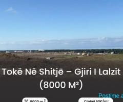 Tokë në shitje – Gjiri i Lalzit (8000 m2)