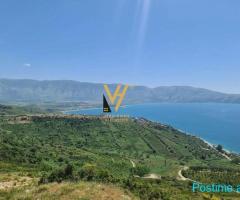 SHITET TOKE PYLL 15.600 M2 NE RRADHIME 936.000 EURO