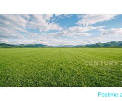 Shitet toke 12,982 m2 ne Levan, Fier