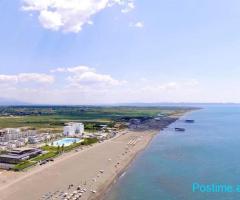 1.2 hektar toke TALE ngjitur me rrugen e RE