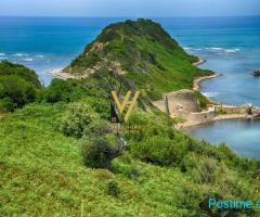 SHITET TOKE 25.000 M2 TE KEPI I RODONIT 1.000.000 EURO