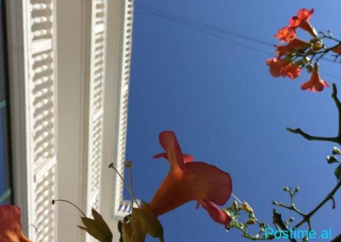 HOTEL ME APARTAMENTE – RRUGA MITAT HOXHA, SARANDË - 3/4