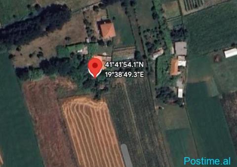 Tale/Shitet 6000 m2 Toke me 120 m2 Shtepi me Hipoteke. - 3/3