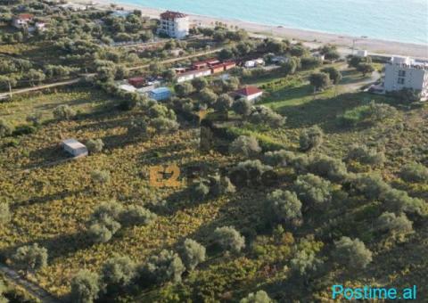 Shitet toke ne Borsh 1250m2-170euro/m2 - 1/4