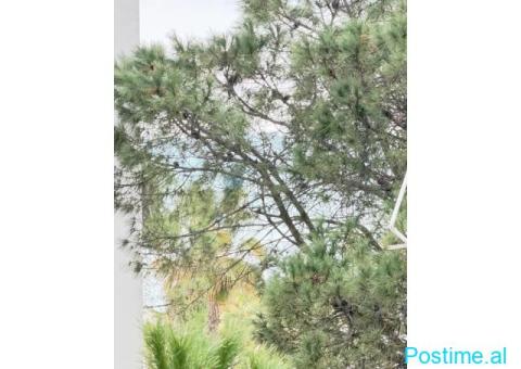 0686051712 Apartament 2+1 per shitje tek Mali i Robit! - 3/8