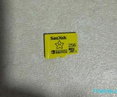 SanDisk micro cars 256GB per nintendo switch lite/1/oled