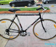 RALEIGH 28 CITY BIKE shitet 200 EURO
