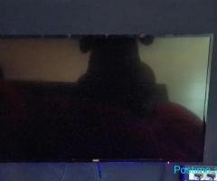 TV Philips 43” salle playstation ps5