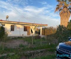 SHITET SHTEPI PRIVATE 534 M2 NE VERRI, FIER 60.000 EURO