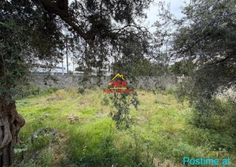 🆕🏡 SHITET SHTËPI PRIVATE + TRUALL TE RRUGA E RE, VLORË - 5/6