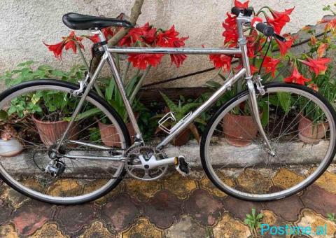Biciklete Shimano-Milano - 1/10