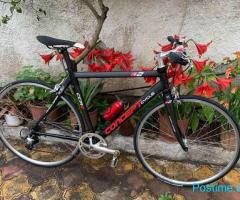 Biciklete CONCEPTE CYCLE CCR2