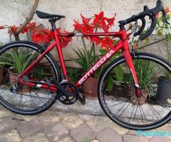 Biçiklete BOTTECCHIA