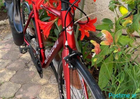 Biçiklete BOTTECCHIA - 6/8