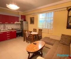 JEPET APARTAMENT ME QERA 1+1 SELVIA