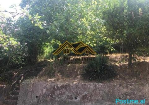 SHITET SHTEPI PRIVATE TEK CEZMA FERRES, DURRES !!! - 4/9