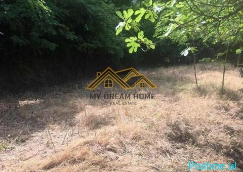 SHITET SHTEPI PRIVATE TEK CEZMA FERRES, DURRES !!! - 5/9