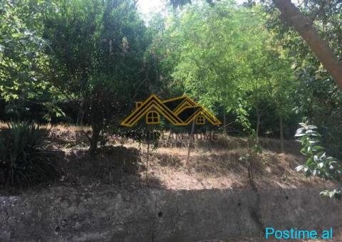 SHITET SHTEPI PRIVATE TEK CEZMA FERRES, DURRES !!! - 6/9