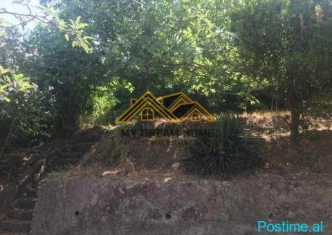 SHITET SHTEPI PRIVATE TEK CEZMA FERRES, DURRES !!! - 7/9