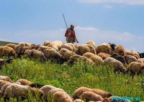 Kerkoj coban per dele