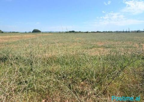 SHITET TOKE 4000M2 NE FLLAKE, DURRES 140,000 € Sip. Totale - 1/3