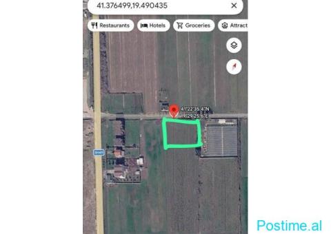 SHITET TOKE 4000M2 NE FLLAKE, DURRES 140,000 € Sip. Totale - 3/3