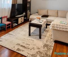 Apartament me qira 1+1 Ali Demi Tregu Elektrik