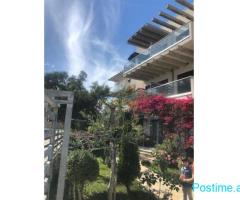 Shitet, Garsionere, Dhermi,Vlore