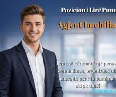 POZICION I LIRË PUNE Agjent Imobiliar