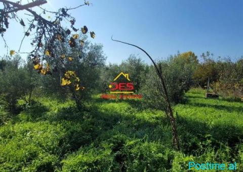 SHITET SHTËPI PRIVATE NË VRION , SARANDE - 2/8