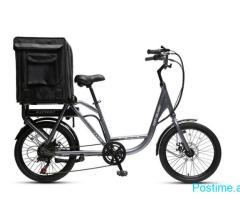 FAST DELIVERY ELECTRIC BIKE ( PA KOSH)