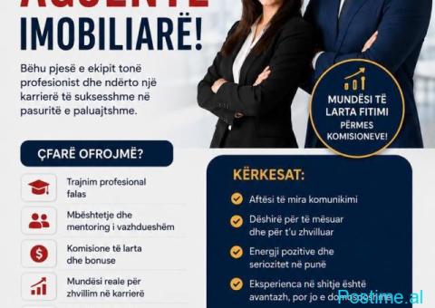 Kërkojmë Konsulent Imobiliar (m/f) për t’iu bashkuar “Dream