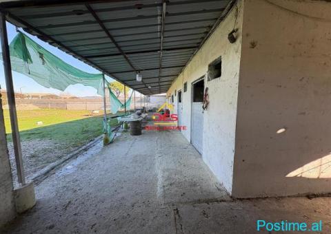 🏡🌲 SHITET NDËRTESË + TRUALL NË PYLLIN E SODËS, VLORË - 5/10