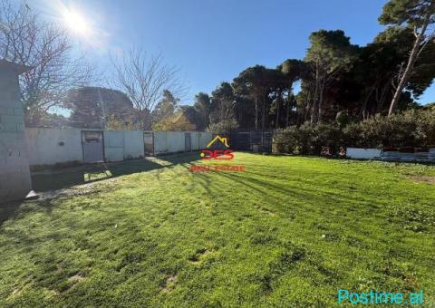 🏡🌲 SHITET NDËRTESË + TRUALL NË PYLLIN E SODËS, VLORË - 7/10