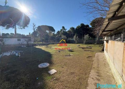 🏡🌲 SHITET NDËRTESË + TRUALL NË PYLLIN E SODËS, VLORË - 8/10