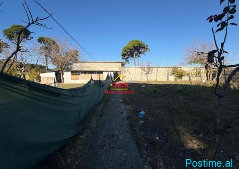 🏡🌲 SHITET NDËRTESË + TRUALL NË PYLLIN E SODËS, VLORË - 10/10