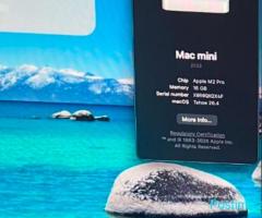 Okazion Shitet Apple Mac mini m2 pro