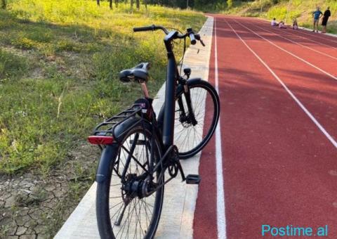 City Ebike Hollandeze e Re - 1/3