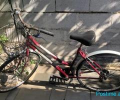 Biçikletë për Femra Metropolitan me Marshe Shimano | Tiranë