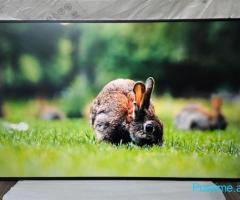 TV Monitor Samsung 50