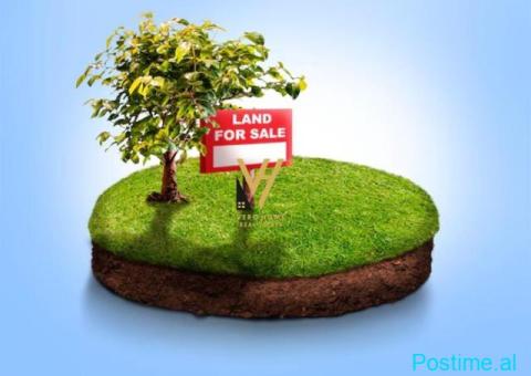 TOKE 3.000 M2 TE AUTO TIRANE-DURRES 900.000 EURO