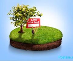 TOKE 3.000 M2 TE AUTO TIRANE-DURRES 900.000 EURO