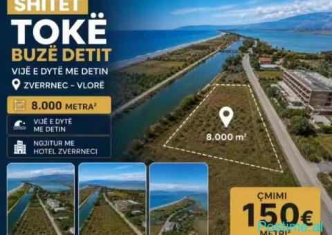 🏝️ SHITET TOKË NË ZVËRNEC – VIJA E DYTË ME DETIN