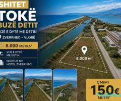 🏝️ SHITET TOKË NË ZVËRNEC – VIJA E DYTË ME DETIN