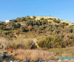 Shitet 6000m toke ne Durres