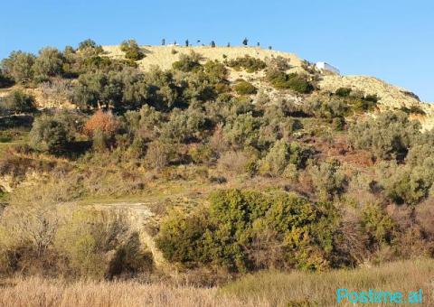 Shitet 6000m toke ne Durres - 2/2