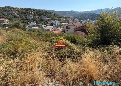 🌱 SHITET TOKË-TRUALL NË KUZUM BABA, VLORË. - 1/4