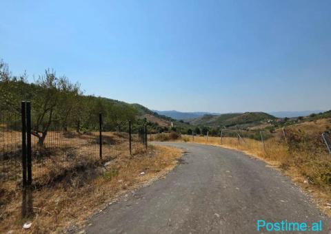 SHITET: TOKË PREMIUM NË PICALLË – 2,000 m² - 2/8