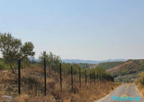 SHITET: TOKË PREMIUM NË PICALLË – 2,000 m² - 3/8