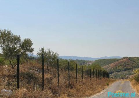SHITET: TOKË PREMIUM NË PICALLË – 2,000 m² - 5/8